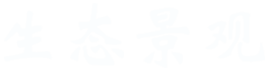 安全
